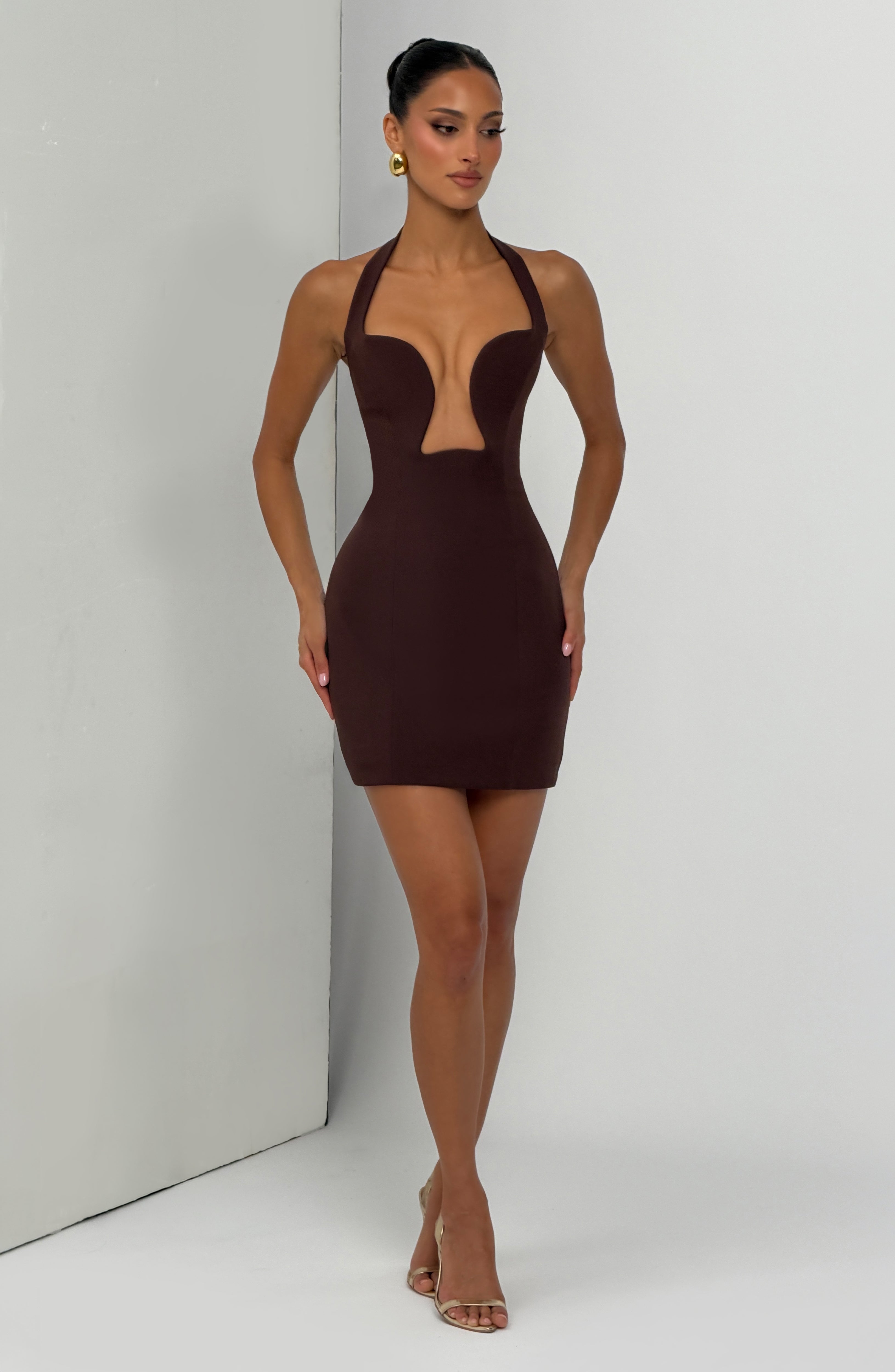 Charlotte Mini Dress - Plum Brown